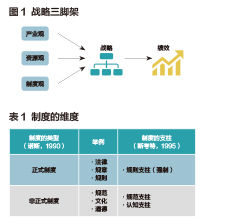 战略制度观：战略管理的第三种视角